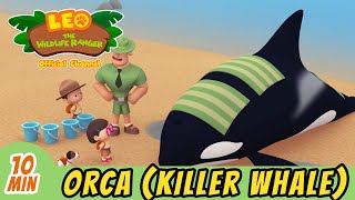 Download lagu The Orca (Killer Whale) | Help Free a BEACHED Whale! | Full Episode | Leo the Wildlife Ranger | Kids mp3