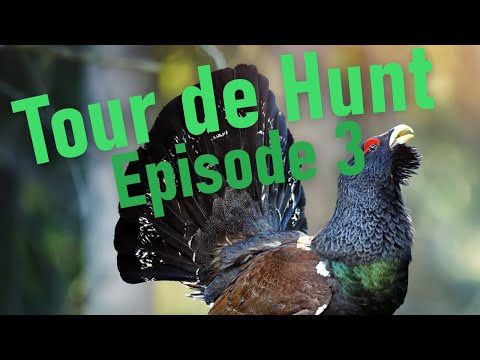 Capercaillie and Black Grouse - Tour de Hunt 2020: Episode 3