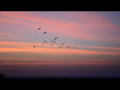 Grupi Nur - Ty o Muhamed