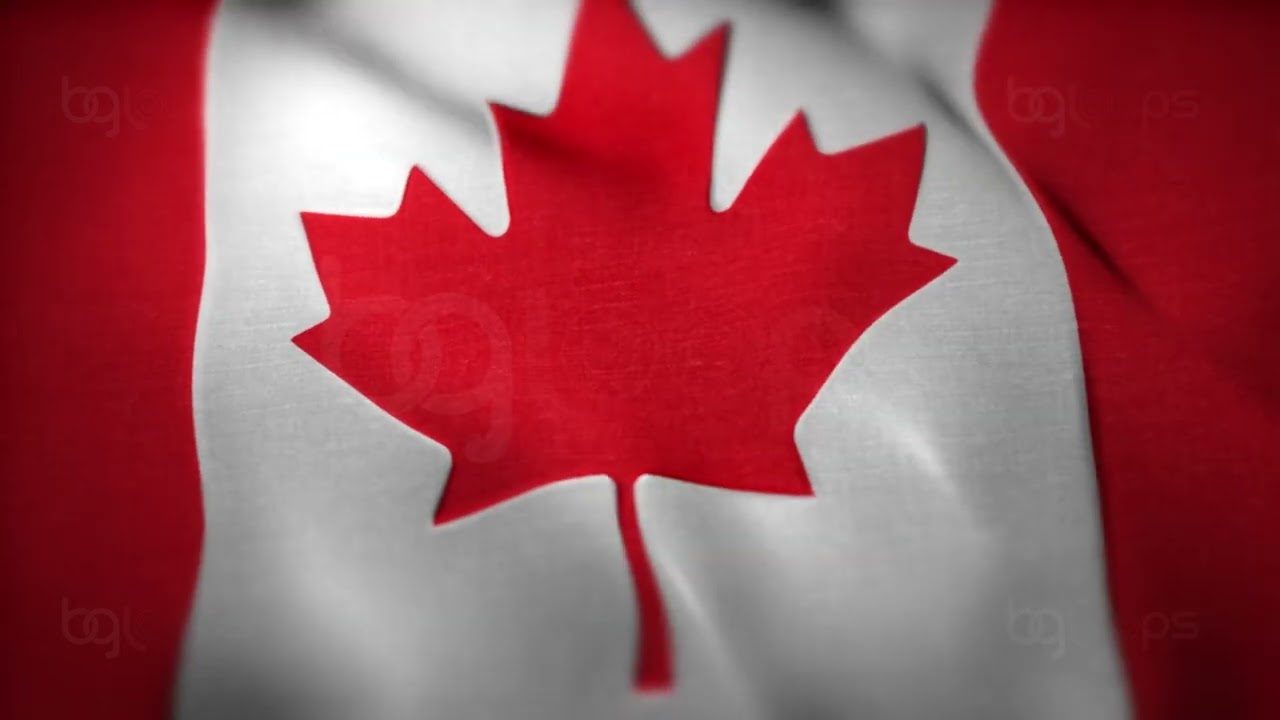 Canadian Flag - Canada Flag - Realistic - Waving Flag - Full HD - 1080 - Seamless Loop