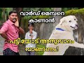 പട്ടി സമ്മതിച്ചാൽ വീട്ടിൽ കേറാം.. dog challenge..leash talks