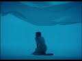 Cristina Donà - "Colpa" - video ufficiale