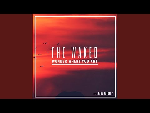 Wonder Where You Are