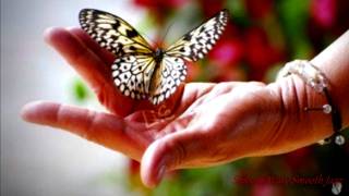 Mil Mariposas ♫♫♫♫♫ Smooth JAZZ