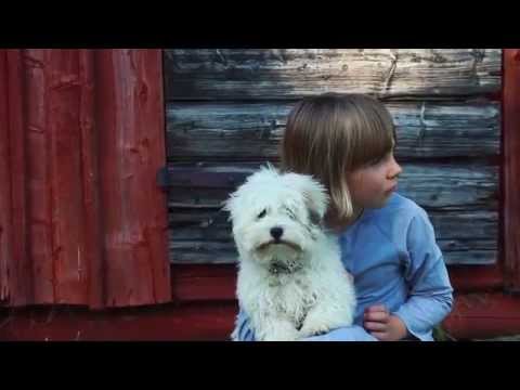 Malkinė pirties krosnelė - TULIKIVI HILE NOBILE video