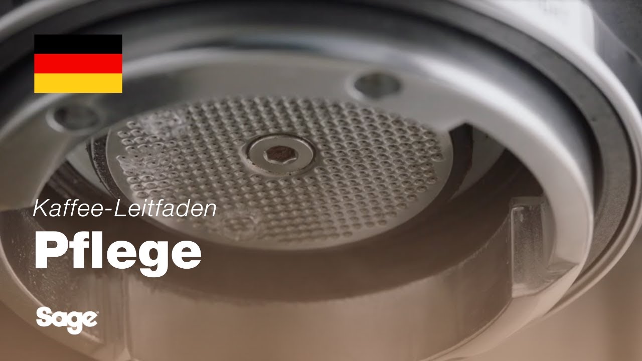 Reinigung der Dusche