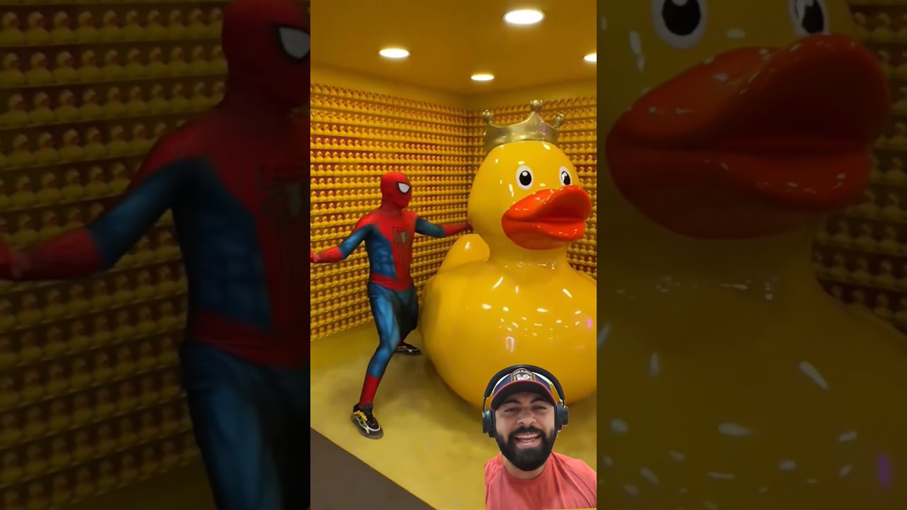 Spiderman’s Fowl Play: A Funny Take on the Pato Rei