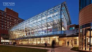 Sustainable design in education building – the Institute of Environmental Sustainability
