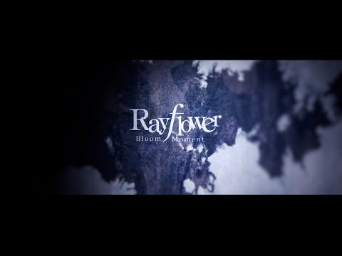 download lagu mp3 mp4 Rayflower Bloom Moment, download lagu Rayflower Bloom Moment gratis, unduh video klip Rayflower Bloom Moment