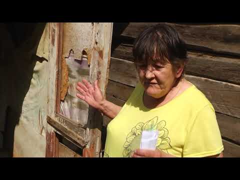 Курской семье не удаётся провести канализацию в свой дом