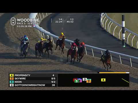 Woodbine, December 9, 2018 Race 5