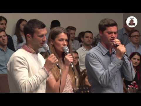 Fratii Saracuti - Vin sub aripa Ta