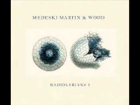 Medeski Martin & Wood - Professor Nohair