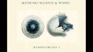 Medeski Martin & Wood - Professor Nohair