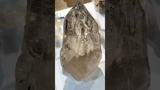 Huge Himalayan Smoky Quartz at the Tucson Gem Show! #shorts #tucsongemshow2025 #smoky quartz