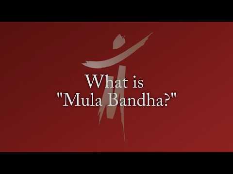 Dr. Sue Morter - What is Mula Bandha
