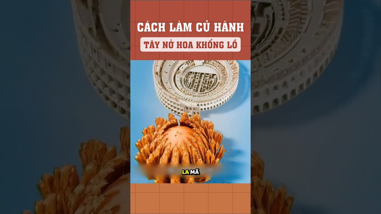 Cách làm củ hành tây nở hoa khổng lồ
