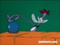 Yuckie Duck Short Orders Adult Swim