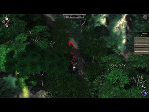 A Quick Overview of Expeditions Conquistador