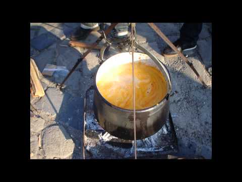 Csodálatos Baja - Csizmadia Katalin