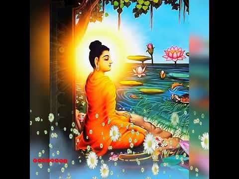 තිලො අග රාජා...⭐theloaga raja