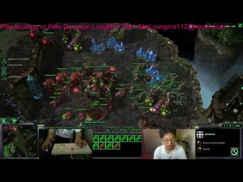 Dragon Helion BBQ Highlight - Heart of the Swarm HOTS