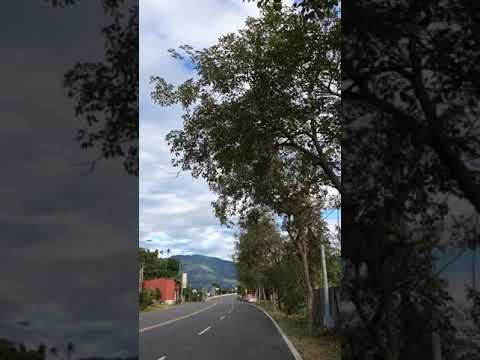 No.166, Zhumin Rd., Zhuqi Township, Chiayi County 604, Taiwan (R.O.C.)