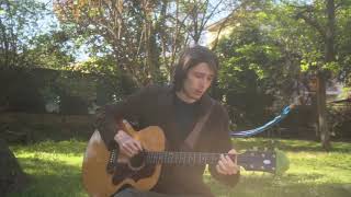 Come fly with me - Joachim Steiner (in the style of Frank Sinatra)