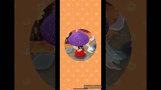 どうぶつの森ポケットキャンプ フォーチュンクッキー6連開封