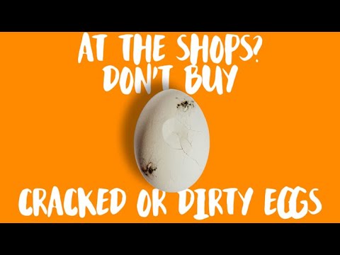 Play it Food Safe - Eggs