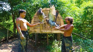 Build wild doves house