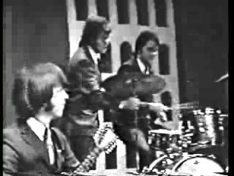 The Count Five - Psychotic Reaction