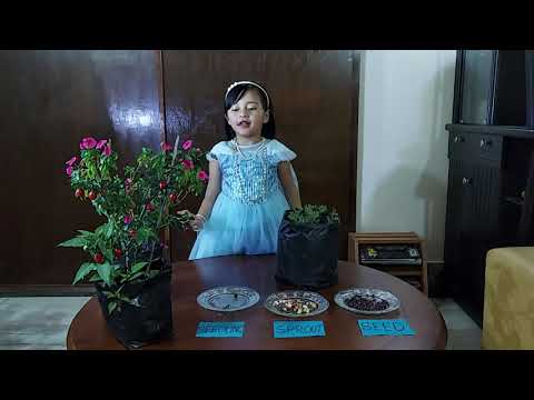 Drishana has a message .." Love nature and save nature"