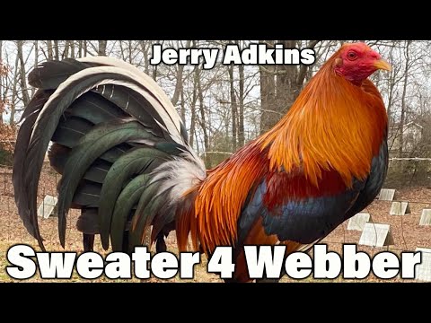 Jerry Adkins Sweater 4 Webber Slick Lizard Farm