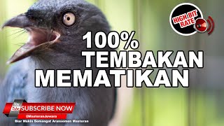 Download lagu 🔴 Srigunting ABU Gacor Full Nembak Cililin Tengkek Gereja Necret ❗️ mp3