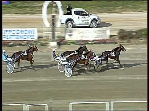 Trotto 17/02/2017 - 1ª corsa