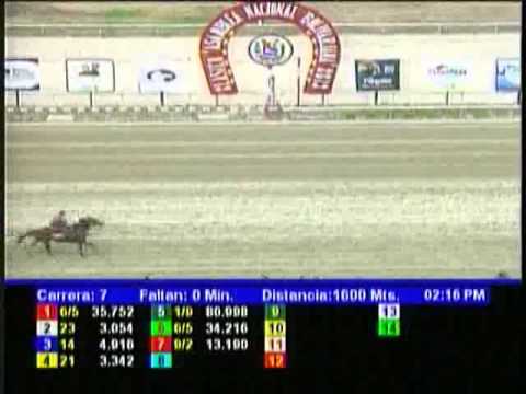 Resumen Domingo, 17 de Marzo de 2013 - La Rinconada