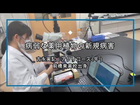 卒業研究レポート① _（前半）病弱な薬用植物の新規病害