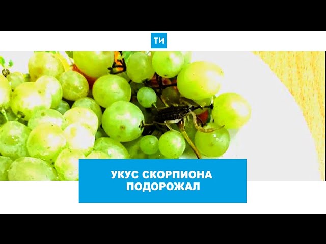 Укус скорпиона: продолжение дела