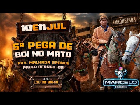 5° PEGA DE BOI NO MATO POVOADO MALHADA GRANDE ORG:LOU DA BAHIA