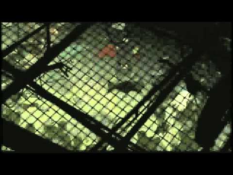 Gatchaman 2000 Anime