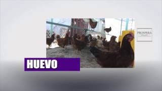 Inclusión Productiva
