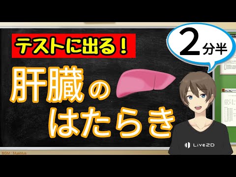 肝植物について詳しく解説