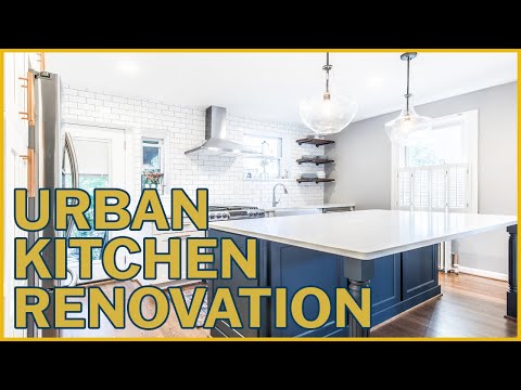 Eli and Sarah's Kitchen Renovation in Alexandria, VA