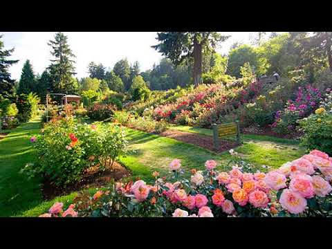 FANGUFANGUMANA-'O-FUSIPALA ('UIHA) TAKAVAHA 'ETE FAKAKAUKAU