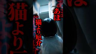 【YouTuber家族の闇】 2歳娘を「あほ」「猫より厄介」と呼び虐待…外傷性ショックで死亡させた両親への判決とは #shorts