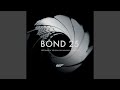 Skyfall (From "Skyfall")