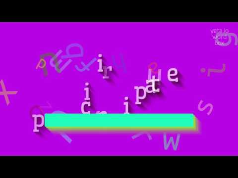 PRINCIPIATE - HOW TO PRONOUNCE IT? #principiate