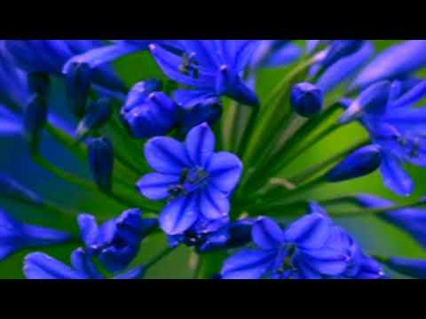 The 1975 - Looking for Somebody (To Love) [Johnson Somerset remix]