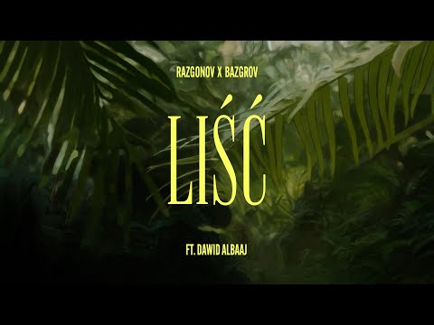 Bazgrov & Razgonov - Liść ft. Albaaj